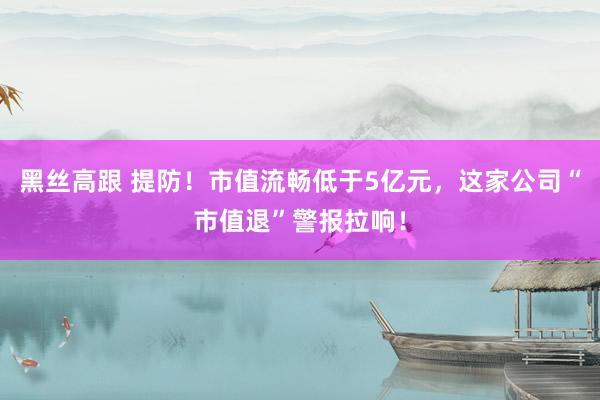 黑丝高跟 提防！市值流畅低于5亿元，这家公司“市值退”警报拉响！