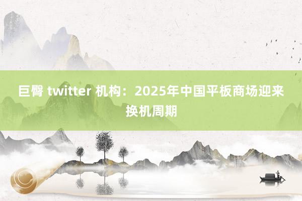 巨臀 twitter 机构：2025年中国平板商场迎来换机周期