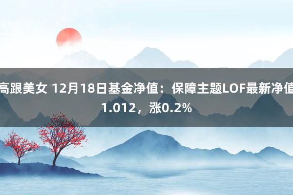 高跟美女 12月18日基金净值：保障主题LOF最新净值1.012，涨0.2%