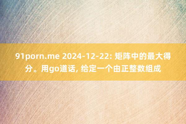 91porn.me 2024-12-22: 矩阵中的最大得分。用go道话， 给定一个由正整数组成