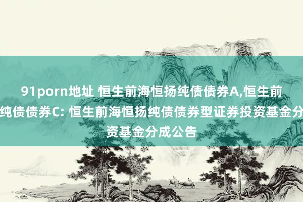 91porn地址 恒生前海恒扬纯债债券A，恒生前海恒扬纯债债券C: 恒生前海恒扬纯债债券型证券投资基金分成公告