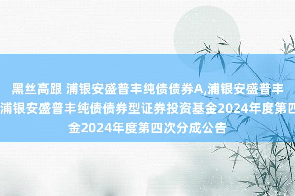 黑丝高跟 浦银安盛普丰纯债债券A，浦银安盛普丰纯债债券C: 浦银安盛普丰纯债债券型证券投资基金2024年度第四次分成公告