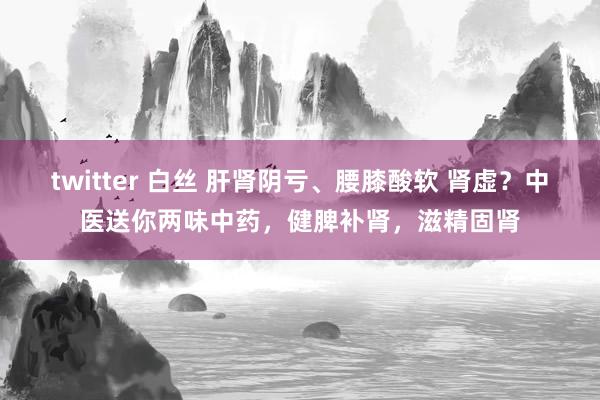 twitter 白丝 肝肾阴亏、腰膝酸软 肾虚？中医送你两味中药，健脾补肾，滋精固肾