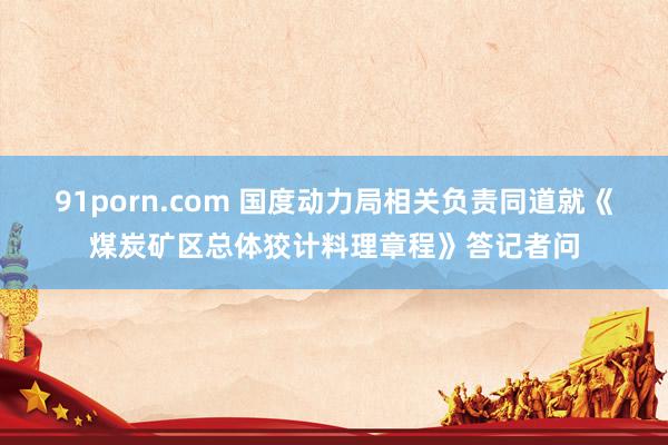 91porn.com 国度动力局相关负责同道就《煤炭矿区总体狡计料理章程》答记者问