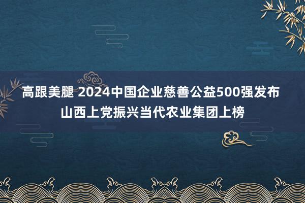 高跟美腿 2024中国企业慈善公益500强发布 山西上党振兴当代农业集团上榜