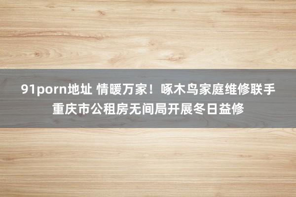 91porn地址 情暖万家！啄木鸟家庭维修联手重庆市公租房无间局开展冬日益修