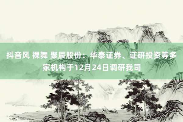 抖音风 裸舞 聚辰股份：华泰证券、证研投资等多家机构于12月24日调研我司