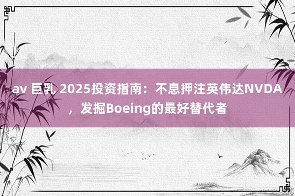 av 巨乳 2025投资指南：不息押注英伟达NVDA，发掘Boeing的最好替代者