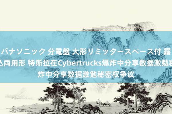 パナソニック 分電盤 大形リミッタースペース付 露出・半埋込両用形 特斯拉在Cybertrucks爆炸中分享数据激勉秘密权争议