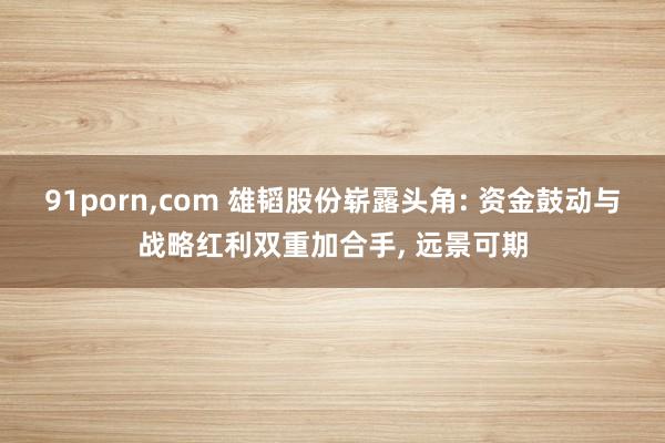 91porn，com 雄韬股份崭露头角: 资金鼓动与战略红利双重加合手， 远景可期