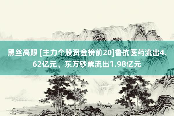 黑丝高跟 [主力个股资金榜前20]鲁抗医药流出4.62亿元、东方钞票流出1.98亿元