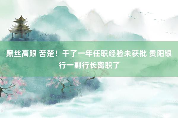 黑丝高跟 苦楚！干了一年任职经验未获批 贵阳银行一副行长离职了