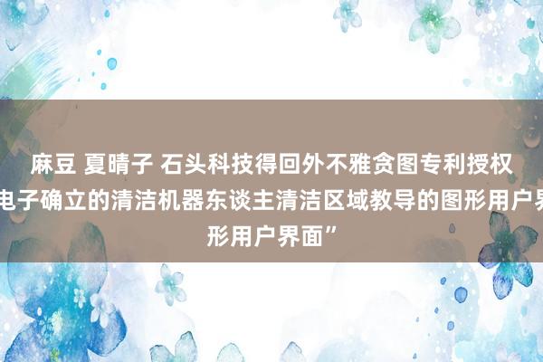 麻豆 夏晴子 石头科技得回外不雅贪图专利授权：“电子确立的清洁机器东谈主清洁区域教导的图形用户界面”