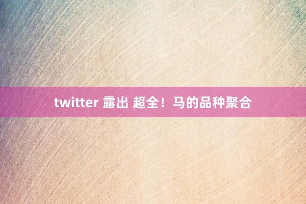 twitter 露出 超全！马的品种聚合