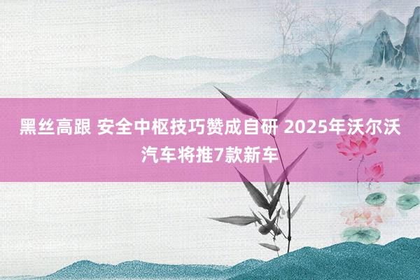 黑丝高跟 安全中枢技巧赞成自研 2025年沃尔沃汽车将推7款新车