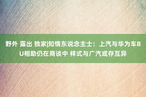 野外 露出 独家|知情东说念主士：上汽与华为车BU相助仍在商谈中 样式与广汽或存互异