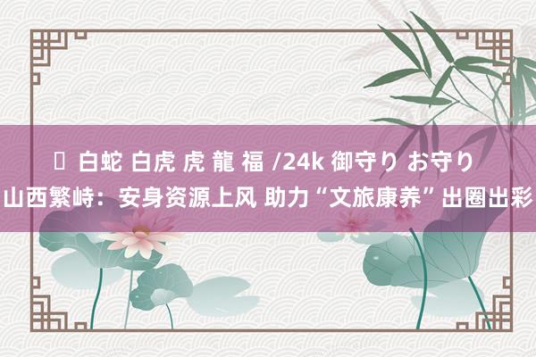 ✨白蛇 白虎 虎 龍 福 /24k 御守り お守り 山西繁峙：安身资源上风 助力“文旅康养”出圈出彩