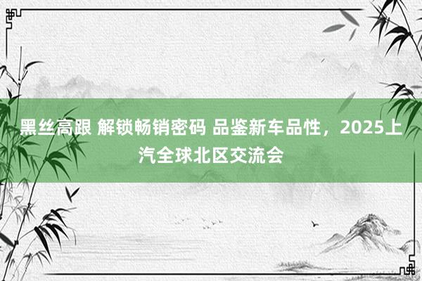 黑丝高跟 解锁畅销密码 品鉴新车品性，2025上汽全球北区交流会